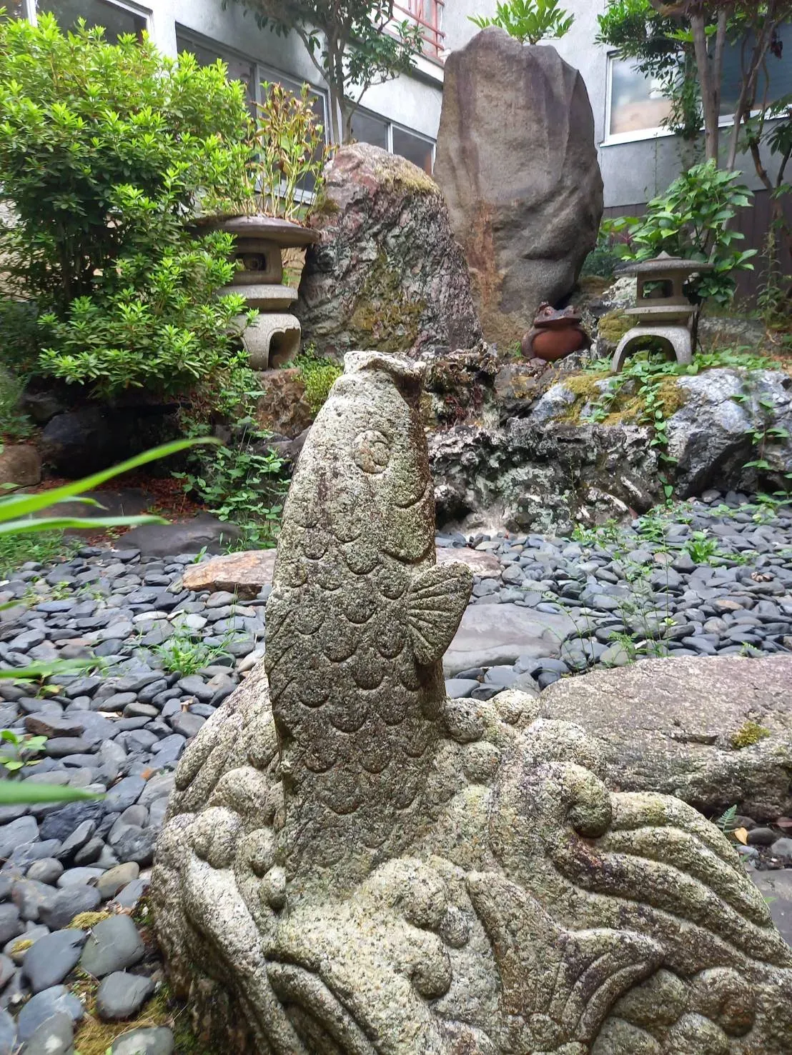 中庭の庭石に刻まれた鯉の石像